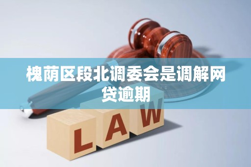 槐荫区段北调委会是调解网贷逾期