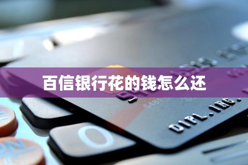 百信银行花的钱怎么还