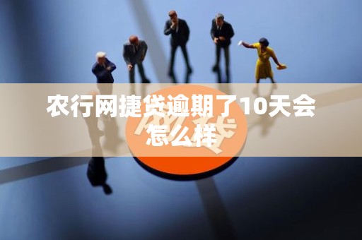 农行网捷贷逾期了10天会怎么样