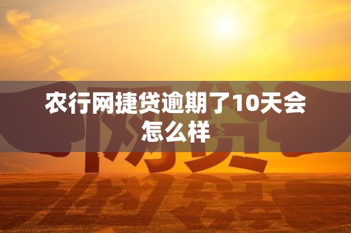 农行网捷贷逾期了10天会怎么样