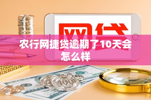 农行网捷贷逾期了10天会怎么样