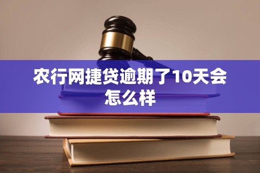 农行网捷贷逾期了10天会怎么样