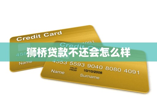 狮桥贷款不还会怎么样