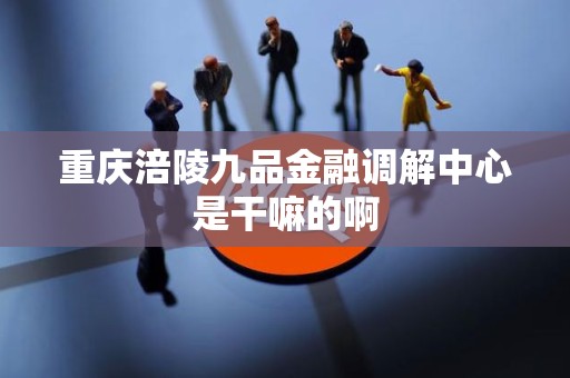 重庆涪陵九品金融调解中心是干嘛的啊