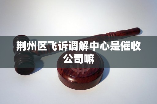 荆州区飞诉调解中心是催收公司嘛
