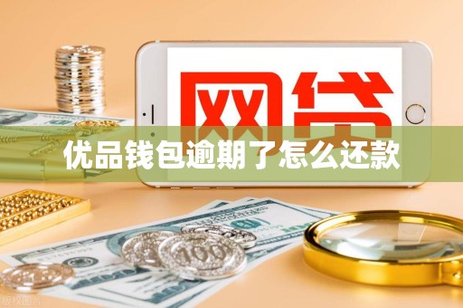 优品钱包逾期了怎么还款