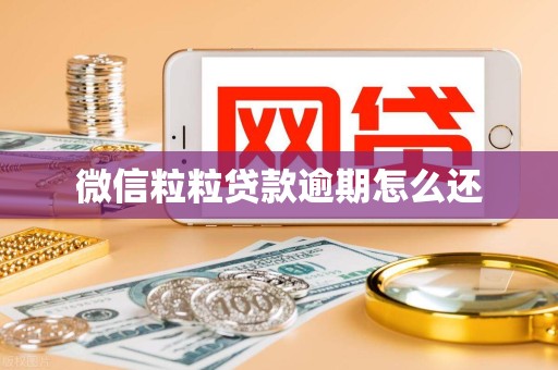 微信粒粒贷款逾期怎么还