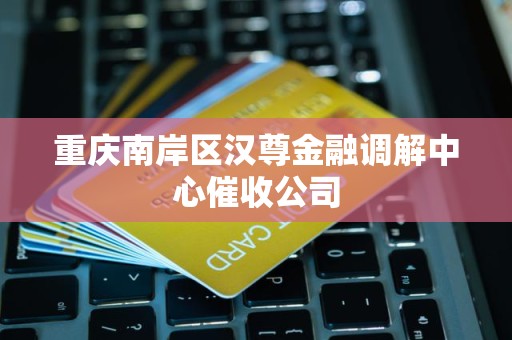 重庆南岸区汉尊金融调解中心催收公司