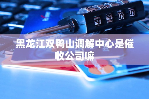 黑龙江双鸭山调解中心是催收公司嘛