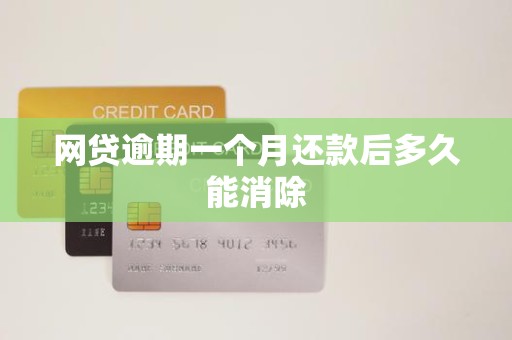 网贷逾期一个月还款后多久能消除