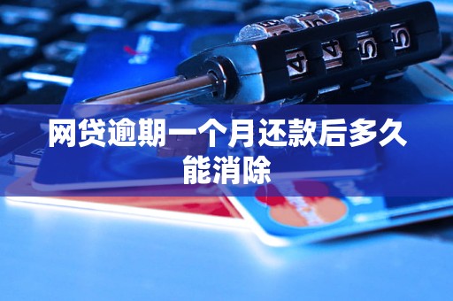 网贷逾期一个月还款后多久能消除