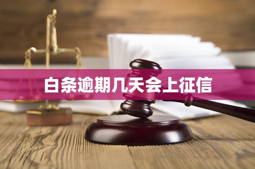 白条逾期几天会上征信