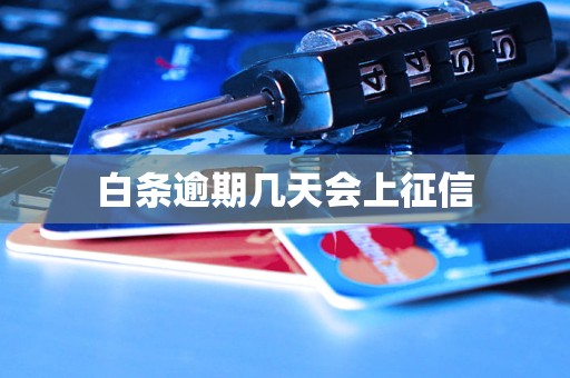 白条逾期几天会上征信