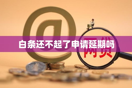 白条还不起了申请延期吗