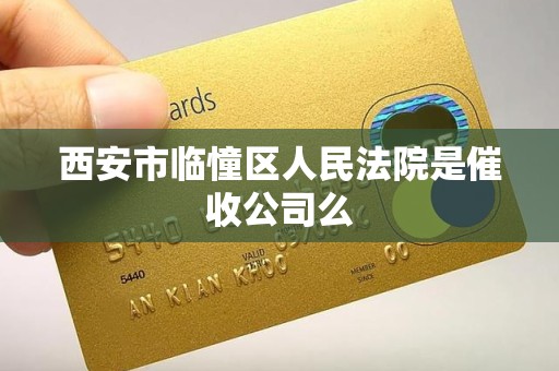 西安市临憧区人民法院是催收公司么