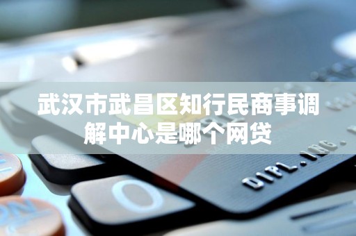 武汉市武昌区知行民商事调解中心是哪个网贷