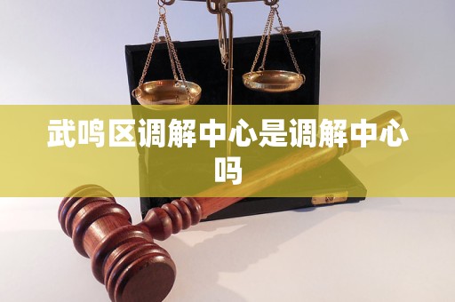 武鸣区调解中心是调解中心吗