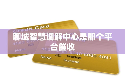 聊城智慧调解中心是那个平台催收