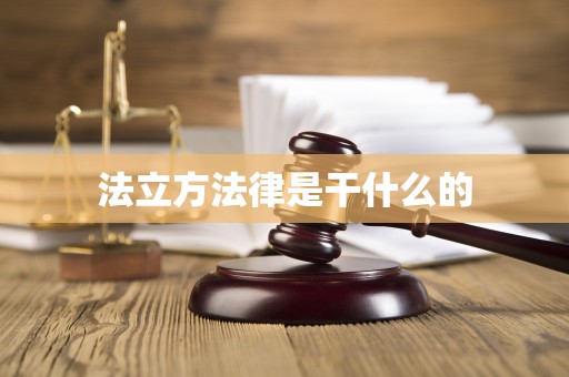 法立方法律是干什么的