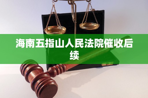 海南五指山人民法院催收后续