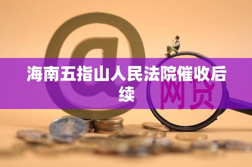 海南五指山人民法院催收后续