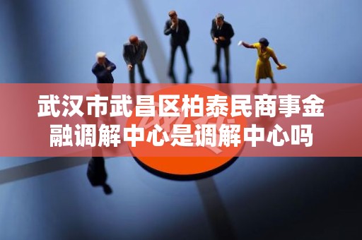 武汉市武昌区柏泰民商事金融调解中心是调解中心吗