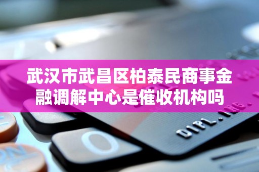 武汉市武昌区柏泰民商事金融调解中心是催收机构吗