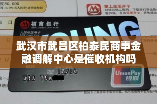 武汉市武昌区柏泰民商事金融调解中心是催收机构吗