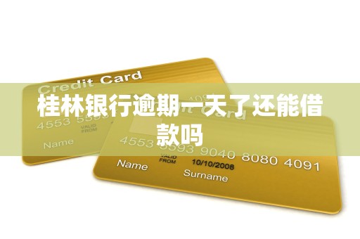 桂林银行逾期一天了还能借款吗