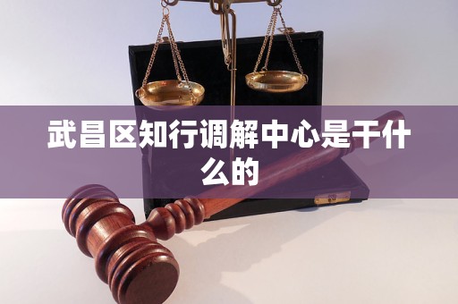 武昌区知行调解中心是干什么的