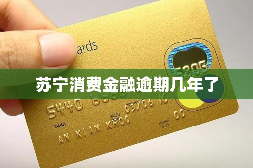苏宁消费金融逾期几年了