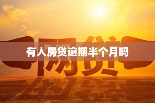 有人房贷逾期半个月吗