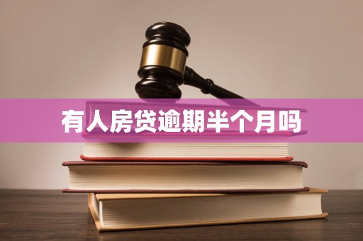 有人房贷逾期半个月吗