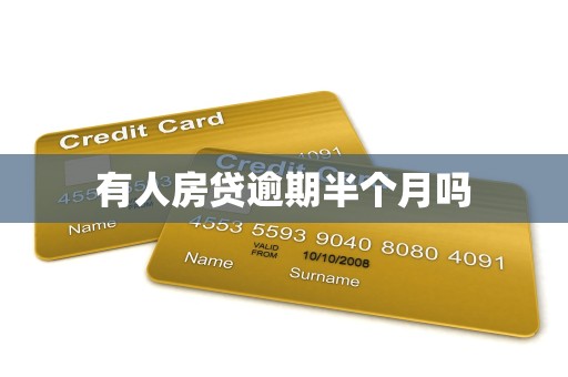 有人房贷逾期半个月吗