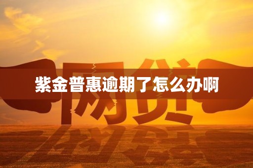 紫金普惠逾期了怎么办啊