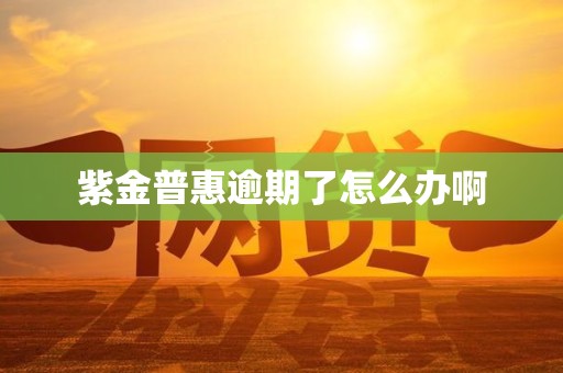 紫金普惠逾期了怎么办啊
