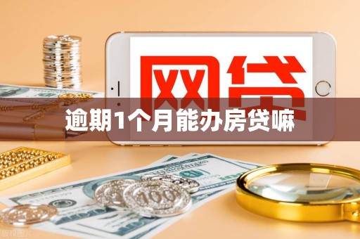 逾期1个月能办房贷嘛