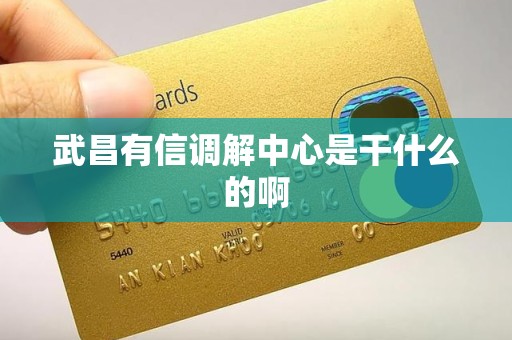 武昌有信调解中心是干什么的啊