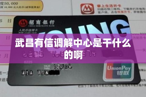 武昌有信调解中心是干什么的啊