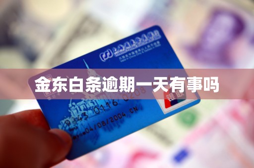 金东白条逾期一天有事吗