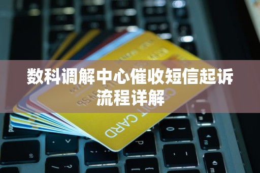 数科调解中心催收短信起诉流程详解