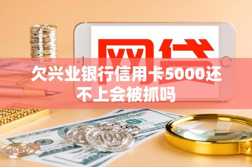 欠兴业银行信用卡5000还不上会被抓吗