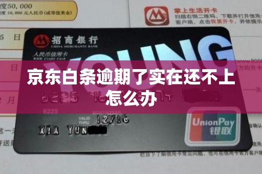 京东白条逾期了实在还不上怎么办