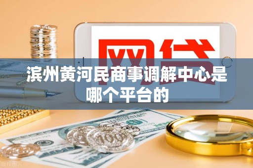滨州黄河民商事调解中心是哪个平台的