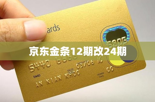 京东金条12期改24期