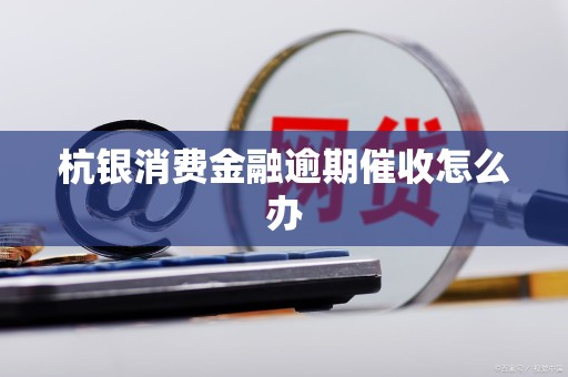 杭银消费金融逾期催收怎么办