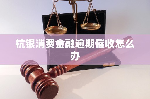 杭银消费金融逾期催收怎么办