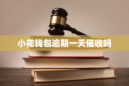 小花钱包逾期一天催收吗