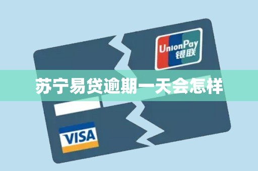 苏宁易贷逾期一天会怎样