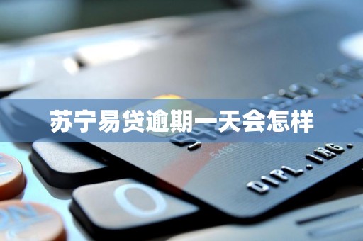 苏宁易贷逾期一天会怎样